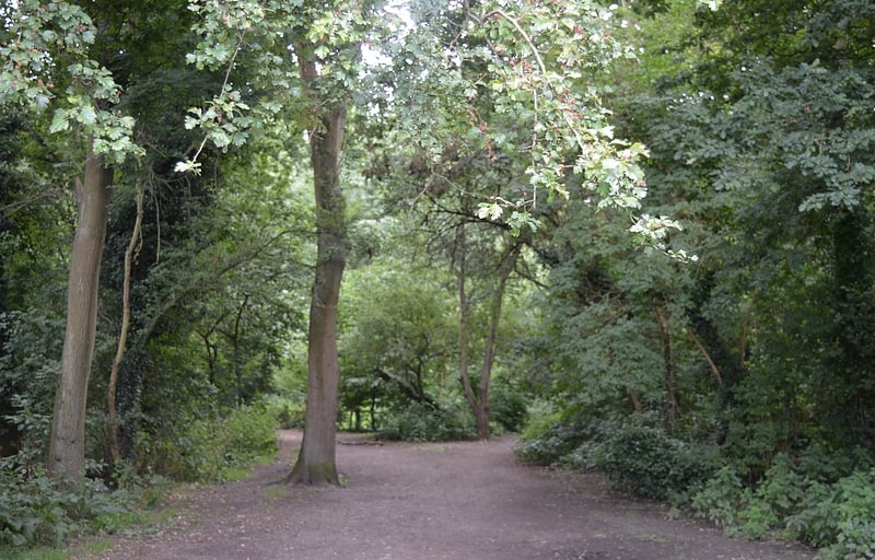 Nature preserve in St Albans, England