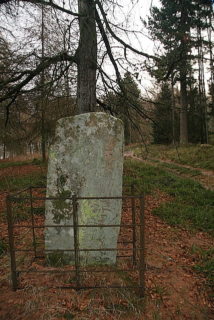 Hunter's Hill Stone