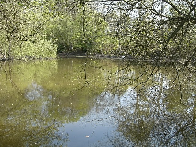 St Leonard's Park Ponds