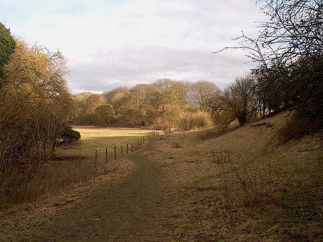 Bere Mill Meadows