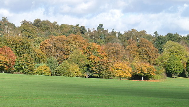Park in Croydon, England