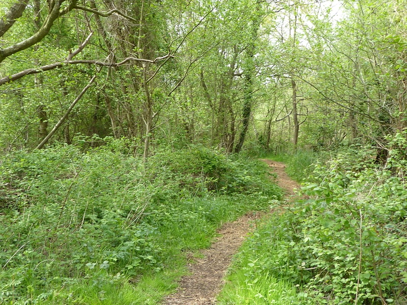 Nature reserve in England