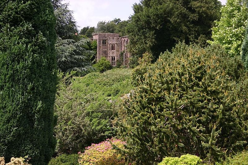 Garden in Handcross, England