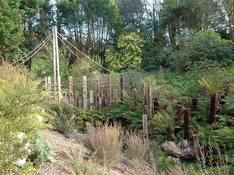Botanical garden in Ventnor, England