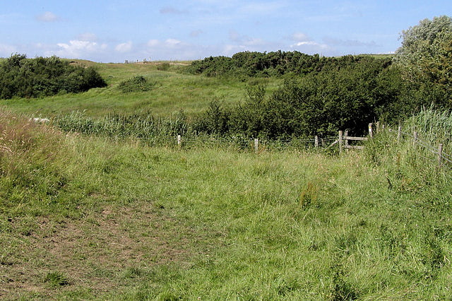 Milton Gate Marsh