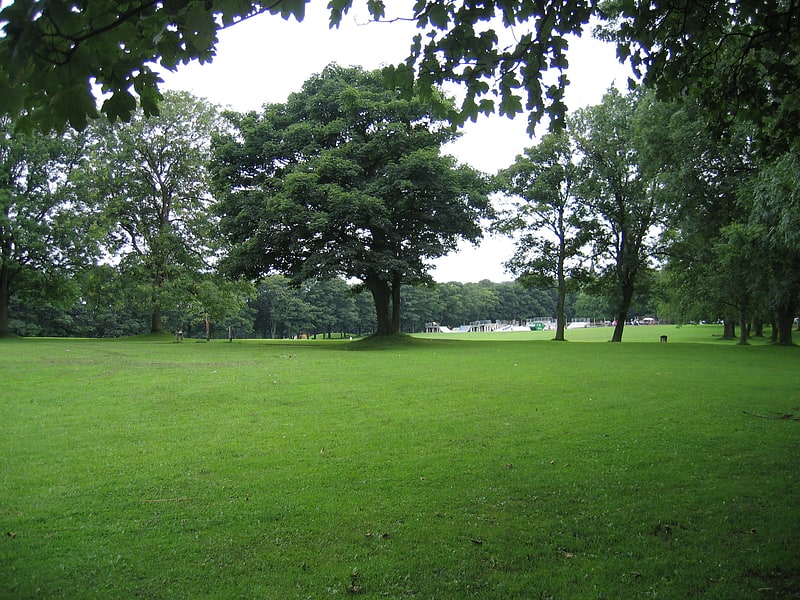 Espace vert avec skate park et bois