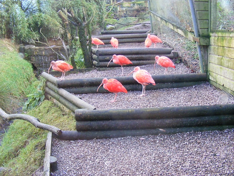 Zoo in England