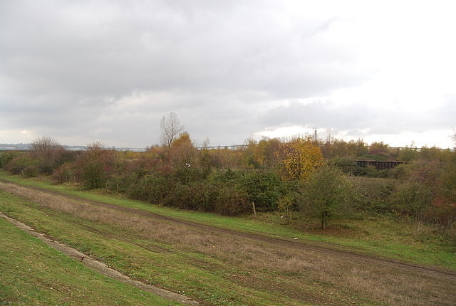 West Thurrock Lagoon and Marshes