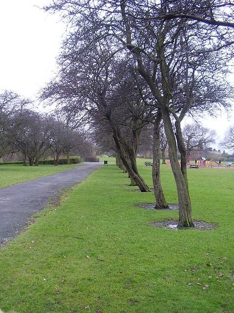 Park in Doncaster, England