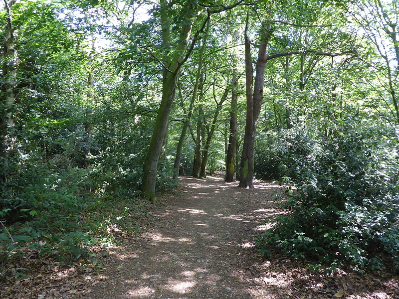 Nature reserve in Norwich, England