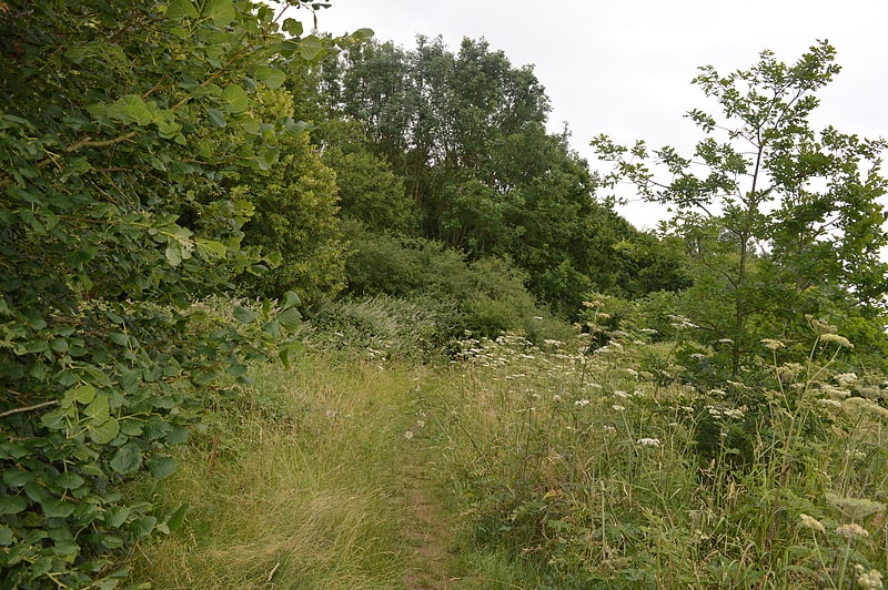 Wheathampstead Local Nature Reserve