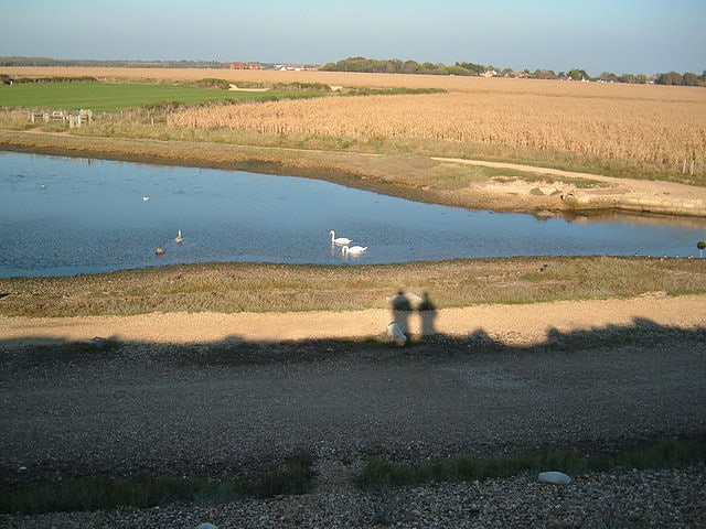 Nature preserve in Milford on Sea, England