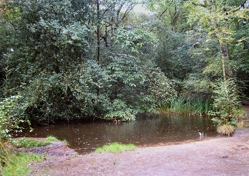 Rowhill Nature Reserve