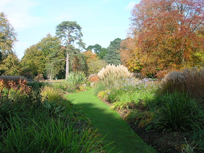 Jardín en Inglaterra