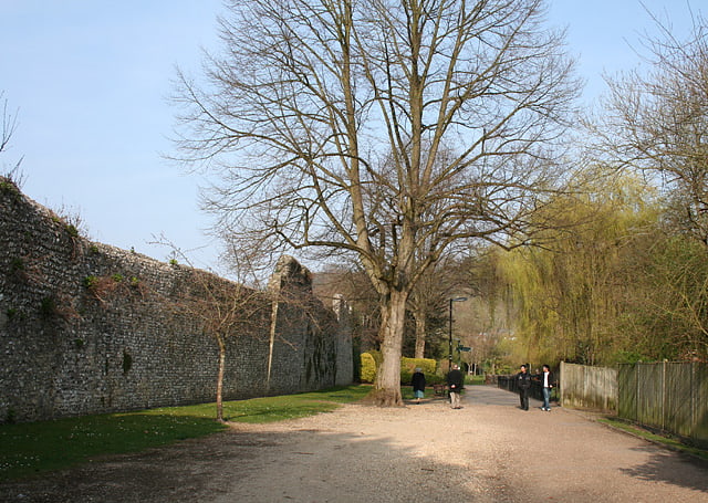 Winchester city walls
