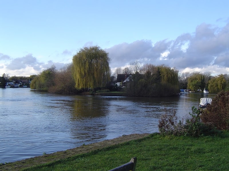 Insel in Shepperton, England