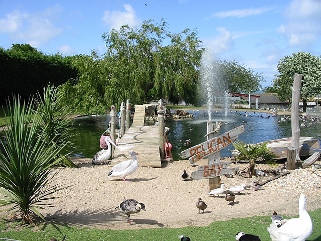 Wildlife park in Seaview, Isle of Wight, England