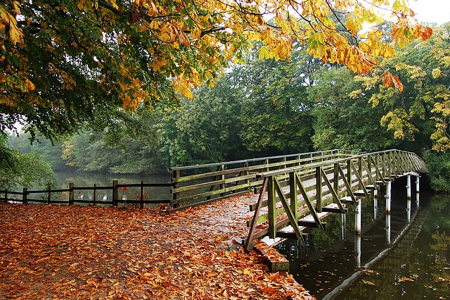Country park in Lincoln, England
