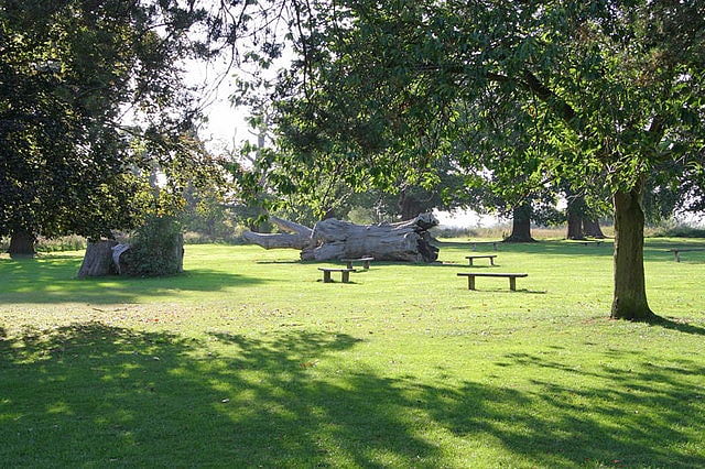 Park in Luton, England