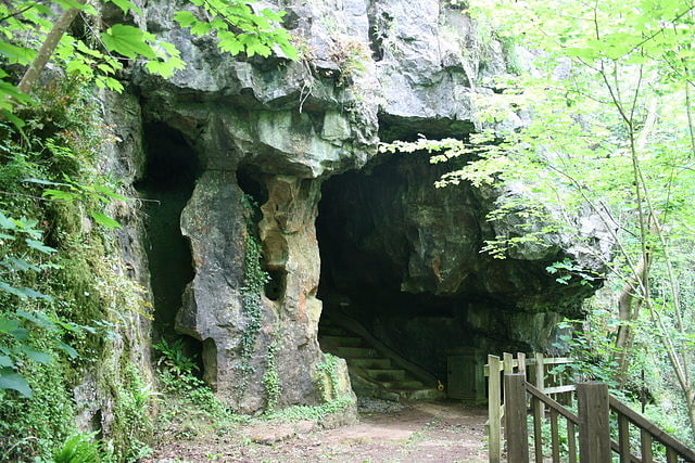 Joint Mitnor Cave