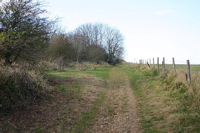 Nature preserve in Lancing, England