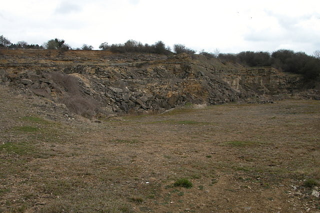 Hornsleasow Quarry
