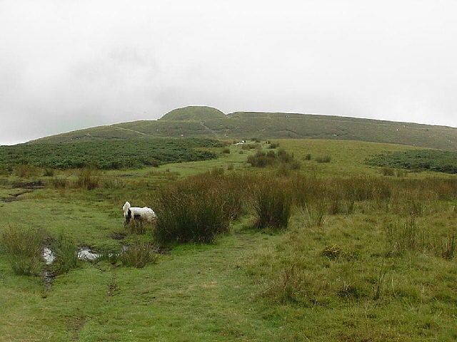 Summit in Wales
