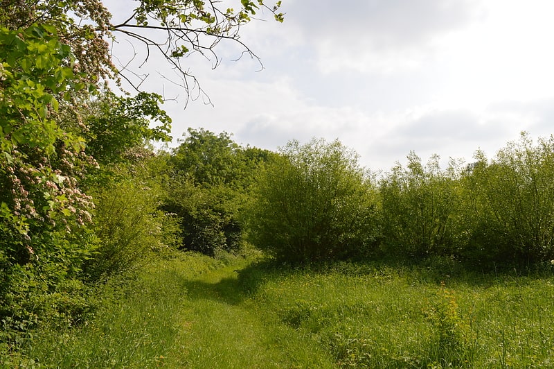 Hawkenbury Meadow