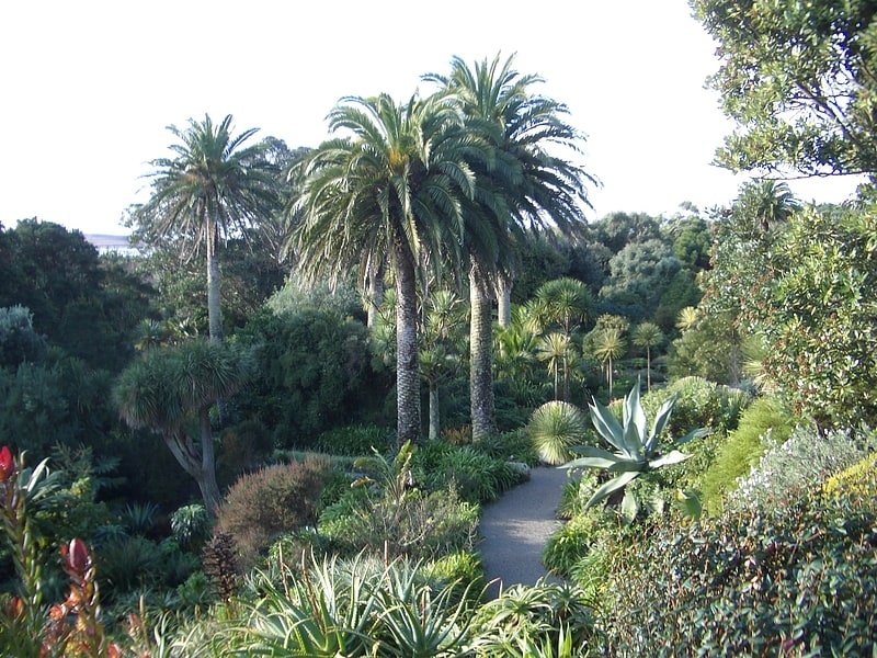 Botanical garden in Tresco, England