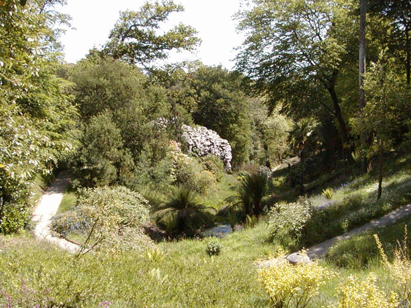 Jardín subtropical en 3 valles junto al río