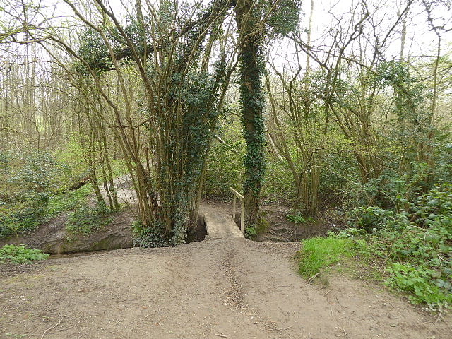 Blunts Wood and Paiges Meadow