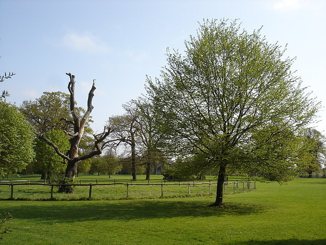 Park in Ipswich, England