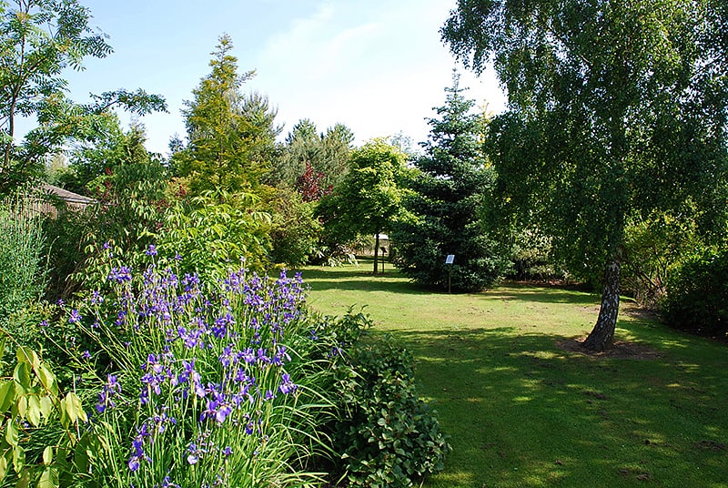 Arboretum in Smisby, England