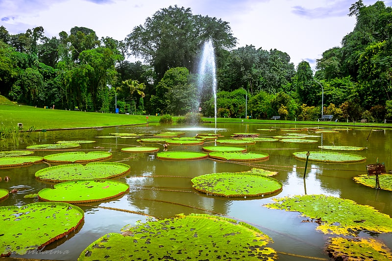 Botanical garden in Bogor, Indonesia