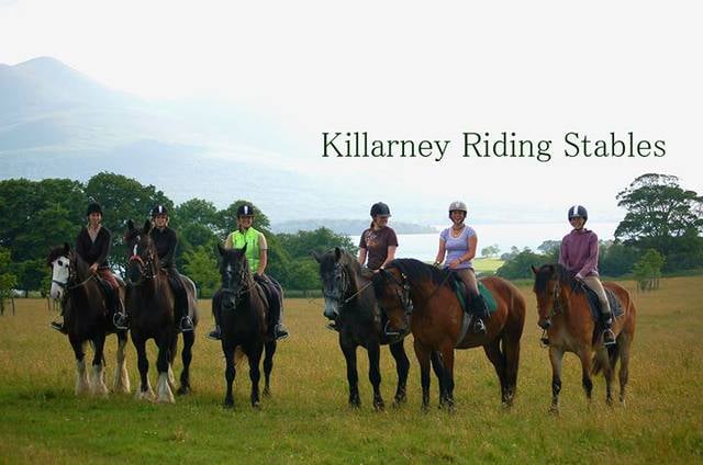 Killarney Riding Stables