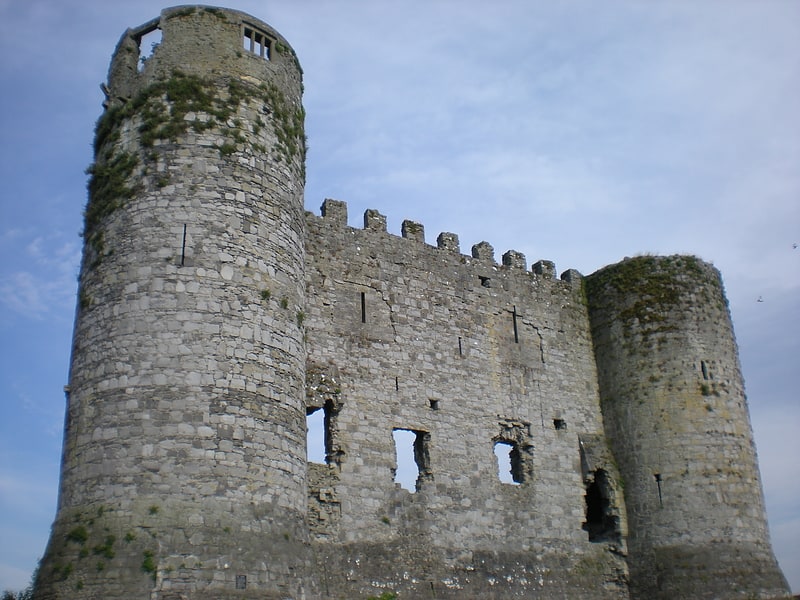 Zamek w Carlow