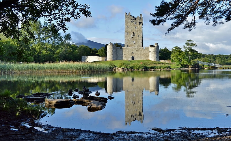 Zamek w Irlandii