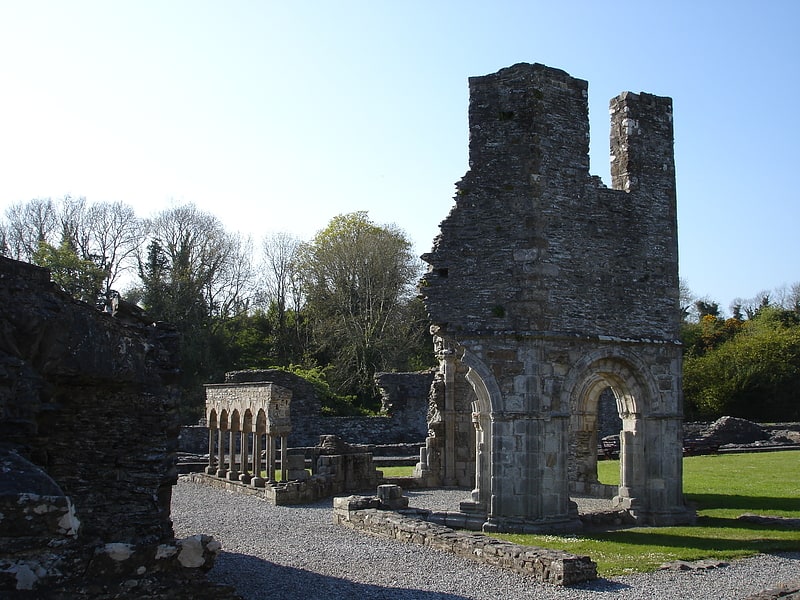 Obiekt historyczny w wiosce Tullyallen, Irlandia