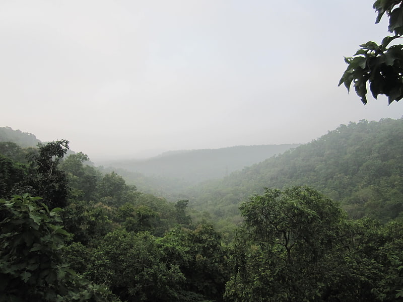 Upper Gangetic Plains moist deciduous forests