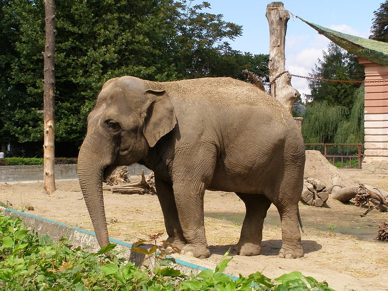 Zoo in Patna, India