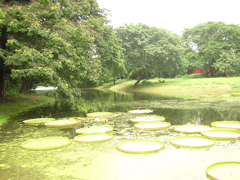 Botanische Gärten mit einem See und seltenen Bäumen