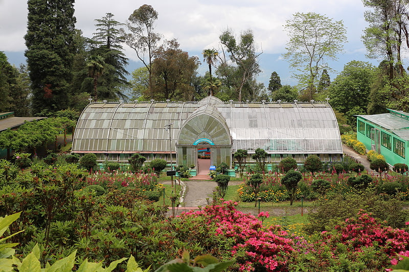 Botanical garden in Darjeeling, India