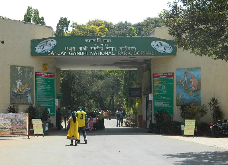 Park narodowy w Indiach