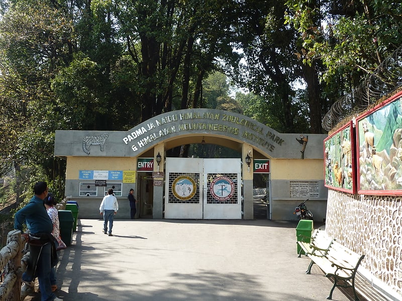 Zoo in Darjeeling, India