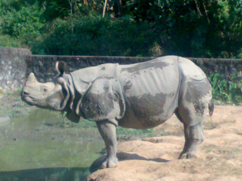 Zoo in Guwahati, Indien