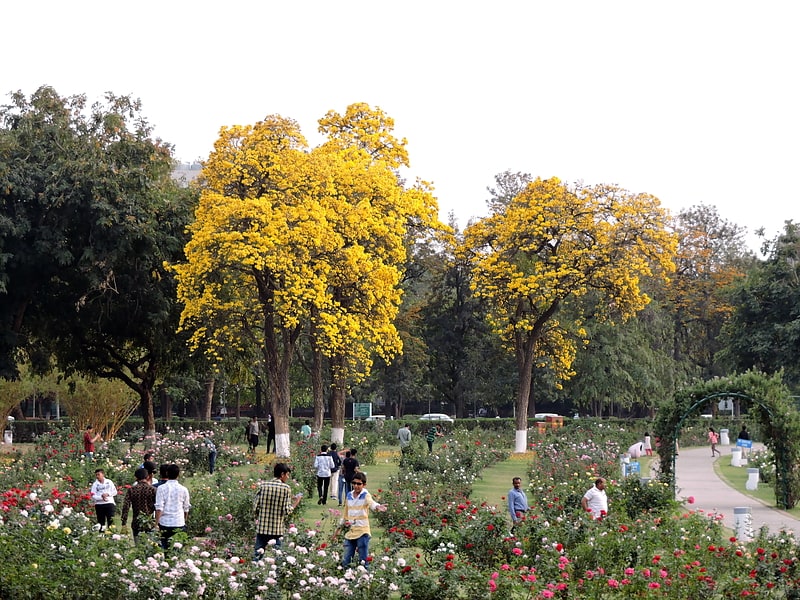 Garden in Chandigarh, India
