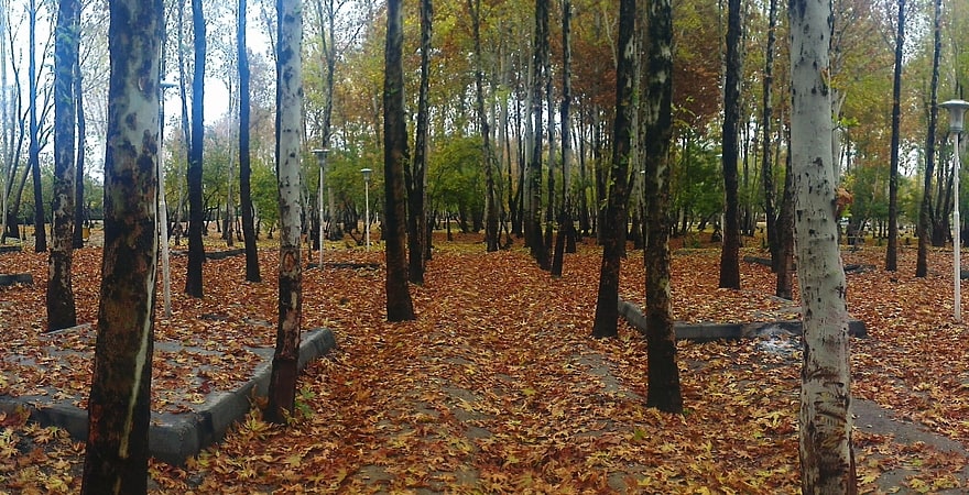 Park Leśny Nazhvan