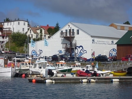 Walmuseum in Húsavík