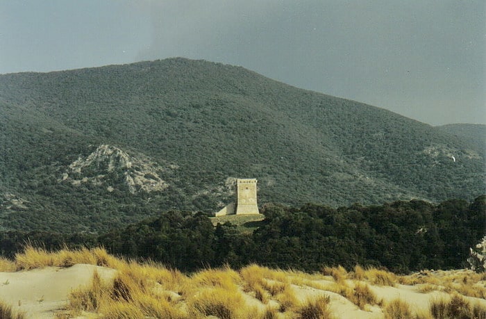 Torre di Collelungo