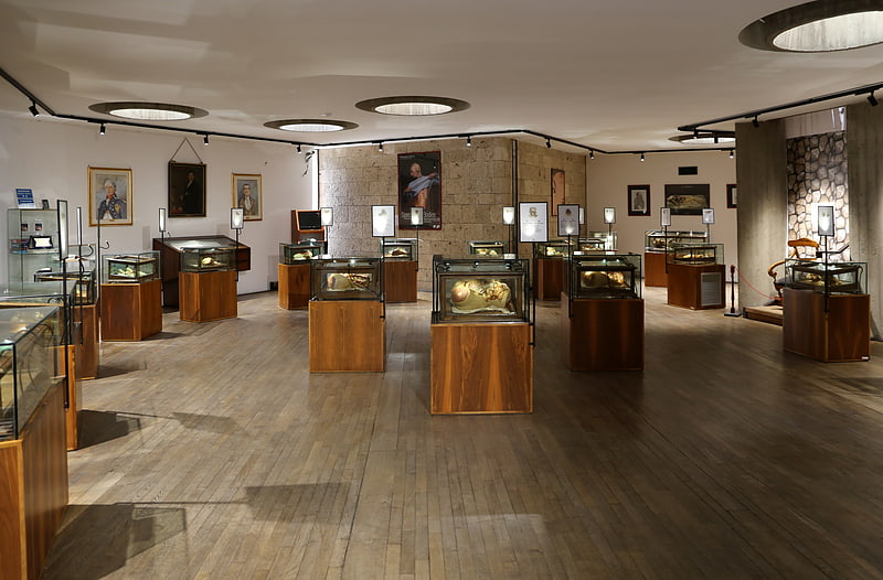 Museo delle cere anatomiche Clemente Susini